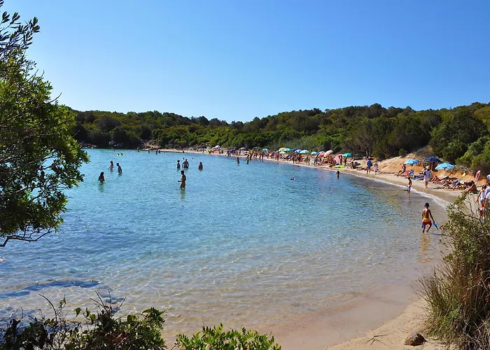 Il Maestrale Porto Pollo *